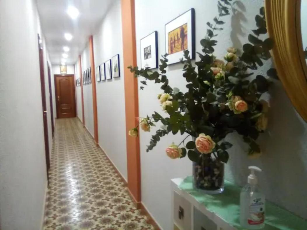 Las Golondrinas Zaragoza Buitenkant foto